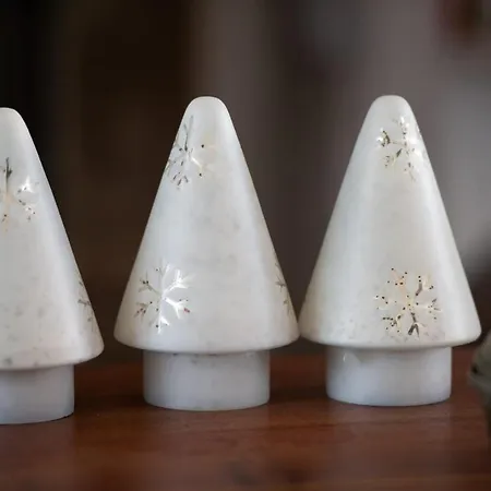 Orquideas Torremolinos