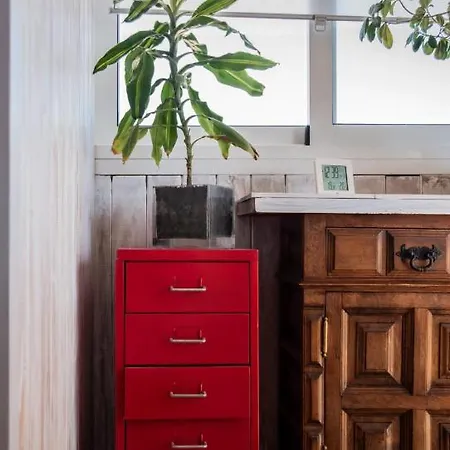 Orquideas * Torremolinos