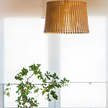 Orquideas * Torremolinos