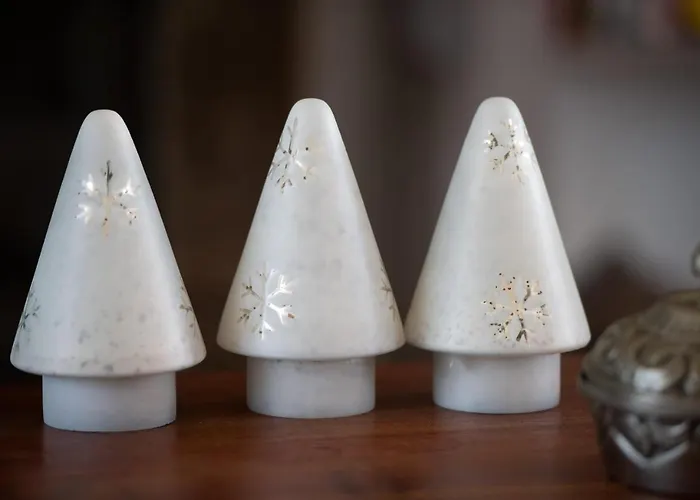 Orquideas Torremolinos