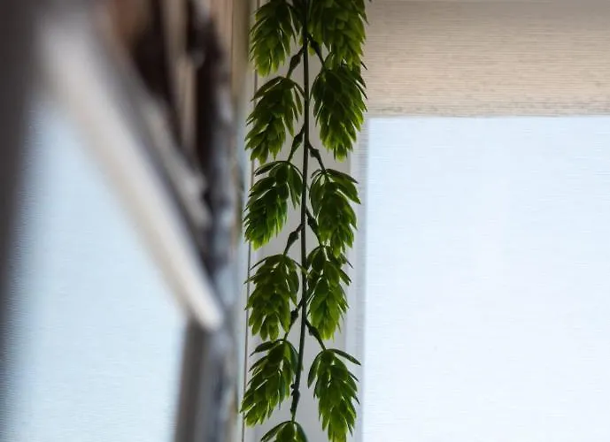 Orquideas Apartment *