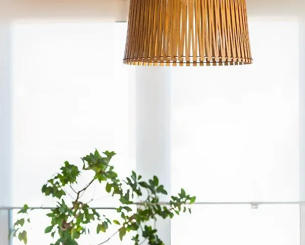 Orquideas * Torremolinos