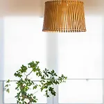 Orquideas * Торремолінос